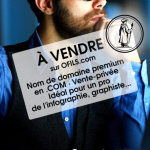 Nom de domaine en .com, de 12 lettres, idéal pour pro de l'infographie, graphiste, designer