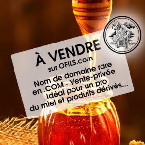 Nom de domaine en .com rare, court de 5 lettres, idéal pour pro du miel de région et dérivés